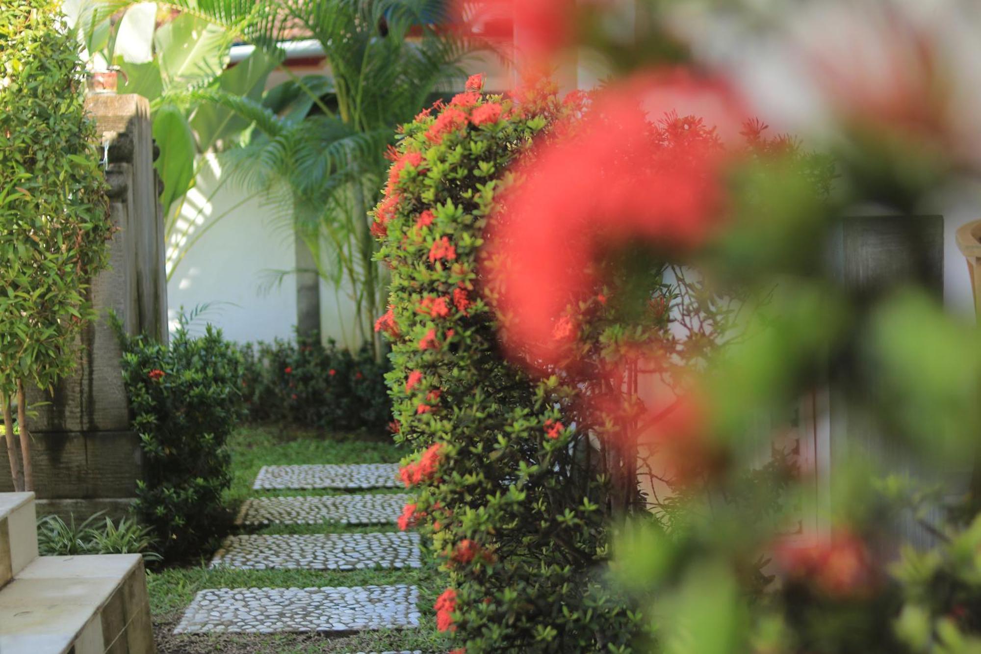 Villa Seruni Lovina Luaran gambar